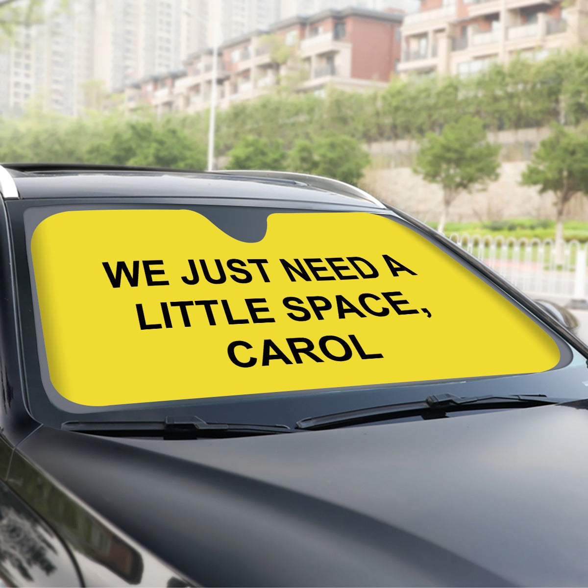 We Just Need A Little Space, Carol Windshield Cover