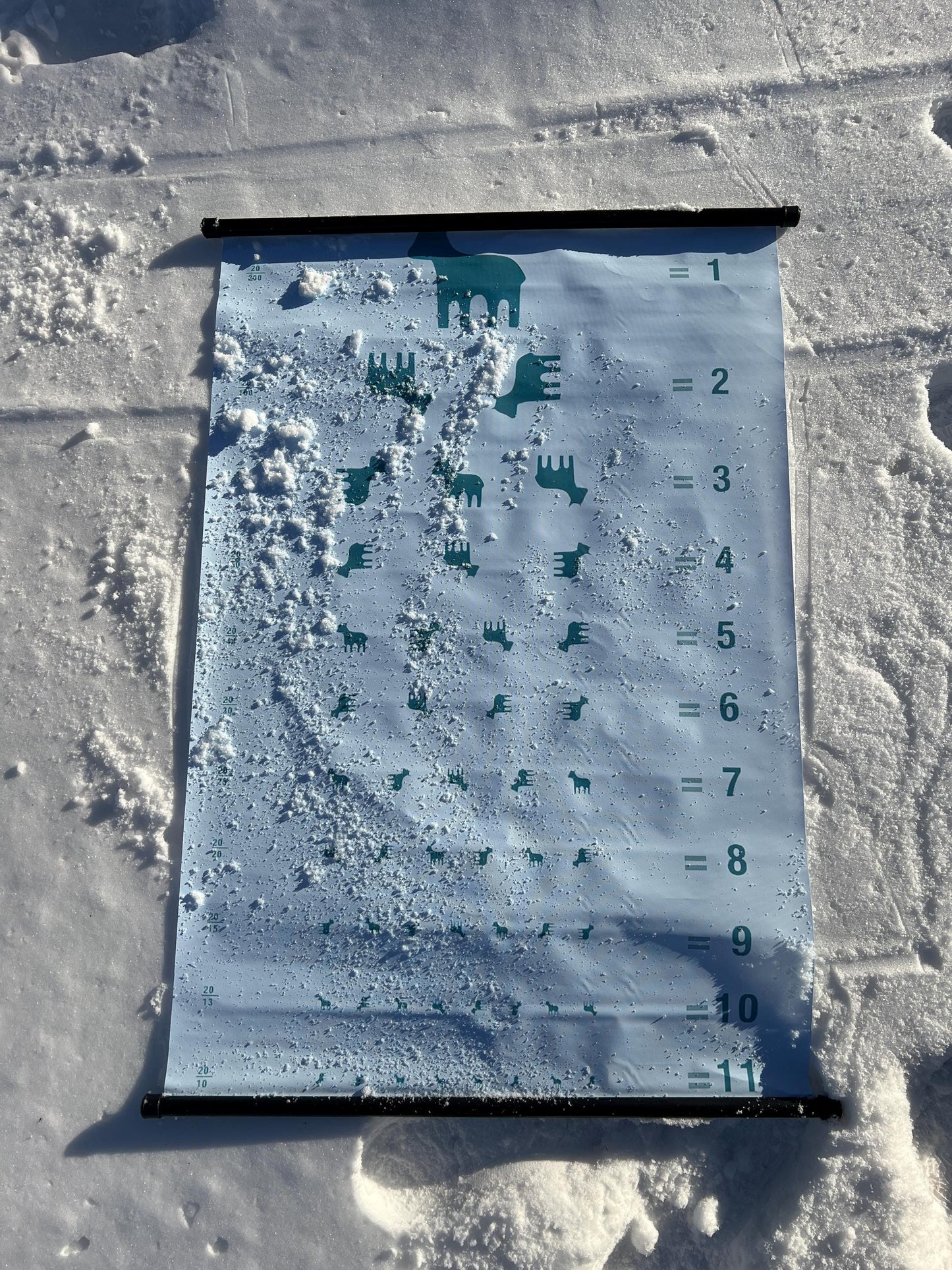 Lumon Goat Eye Chart Wall Scroll inspired by MDR (Made to order)