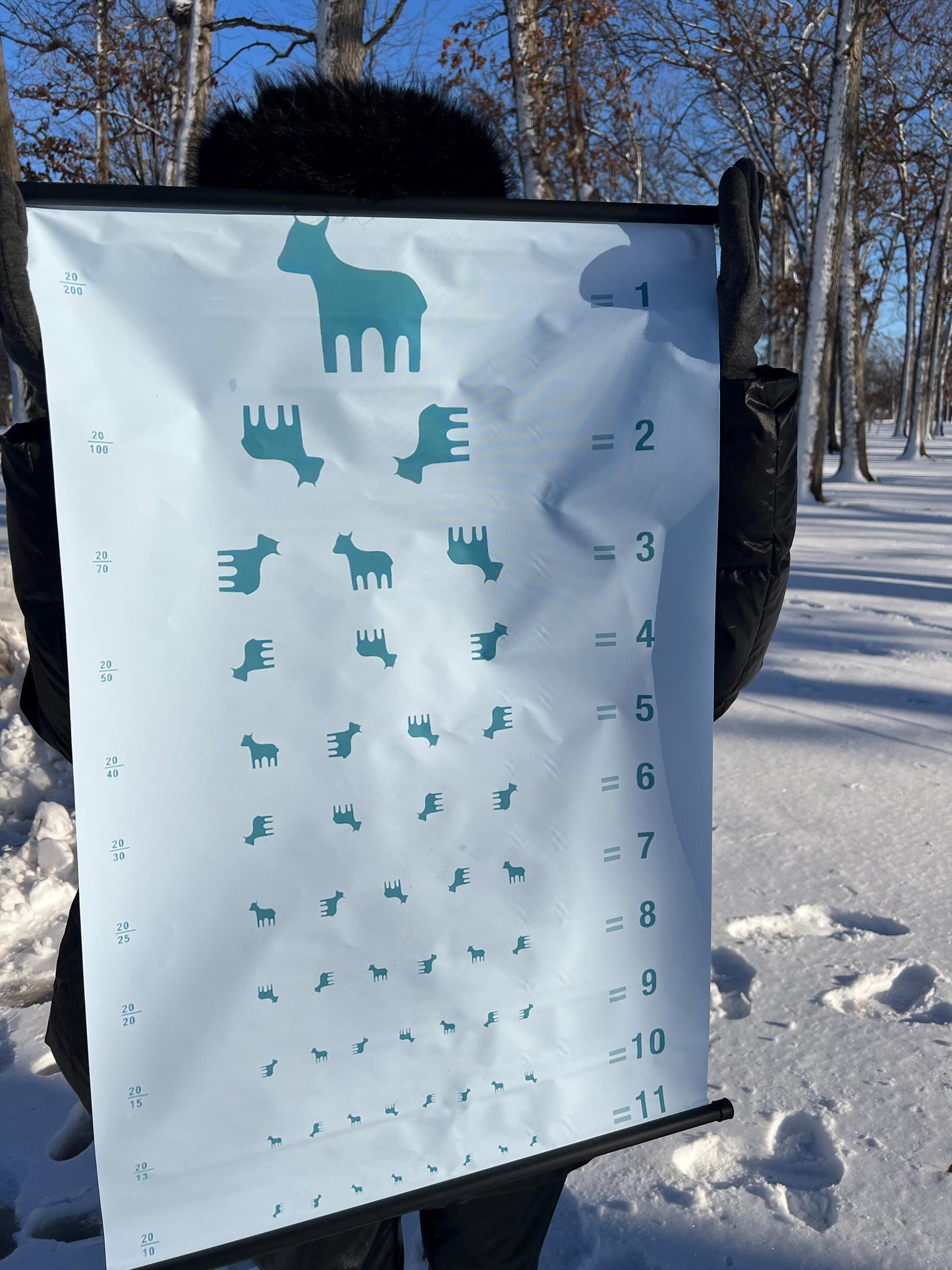 Lumon Goat Eye Chart Wall Scroll inspired by MDR (Made to order)