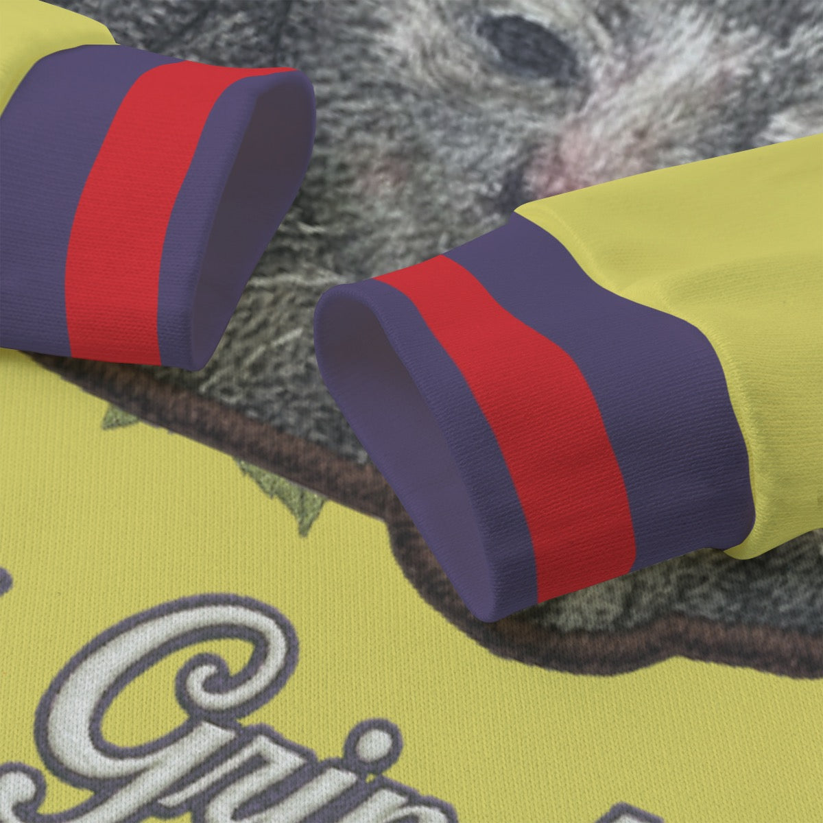 🐈‍⬛ Medieval Cat with Human Face Sweater | Designer-Inspired Parody Pullover