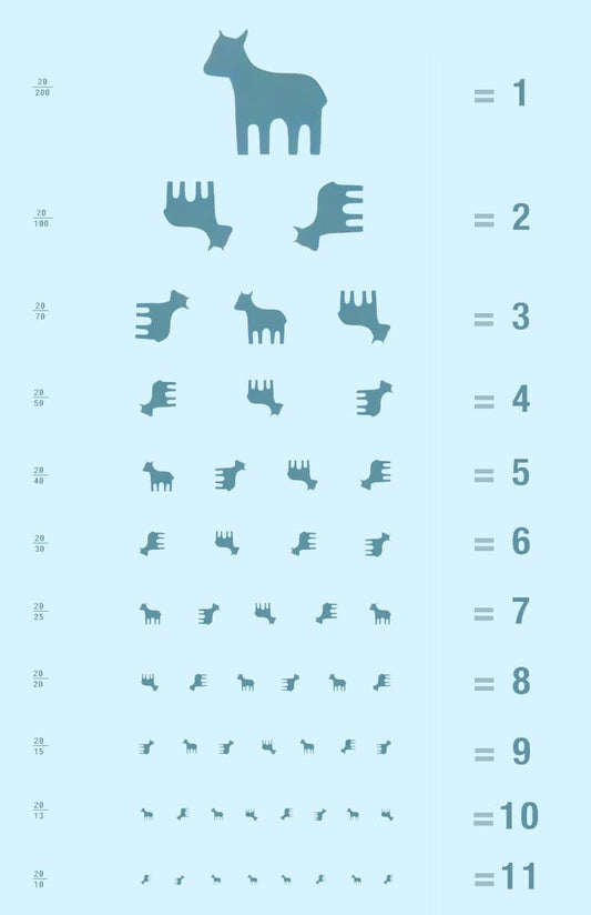 Lumon Goat Eye Chart Wall Scroll inspired by MDR (Made to order)