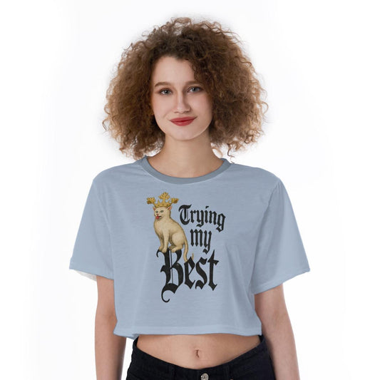 Medieval Cat Graphic Tee: Funny Cottagecore Cropped Top