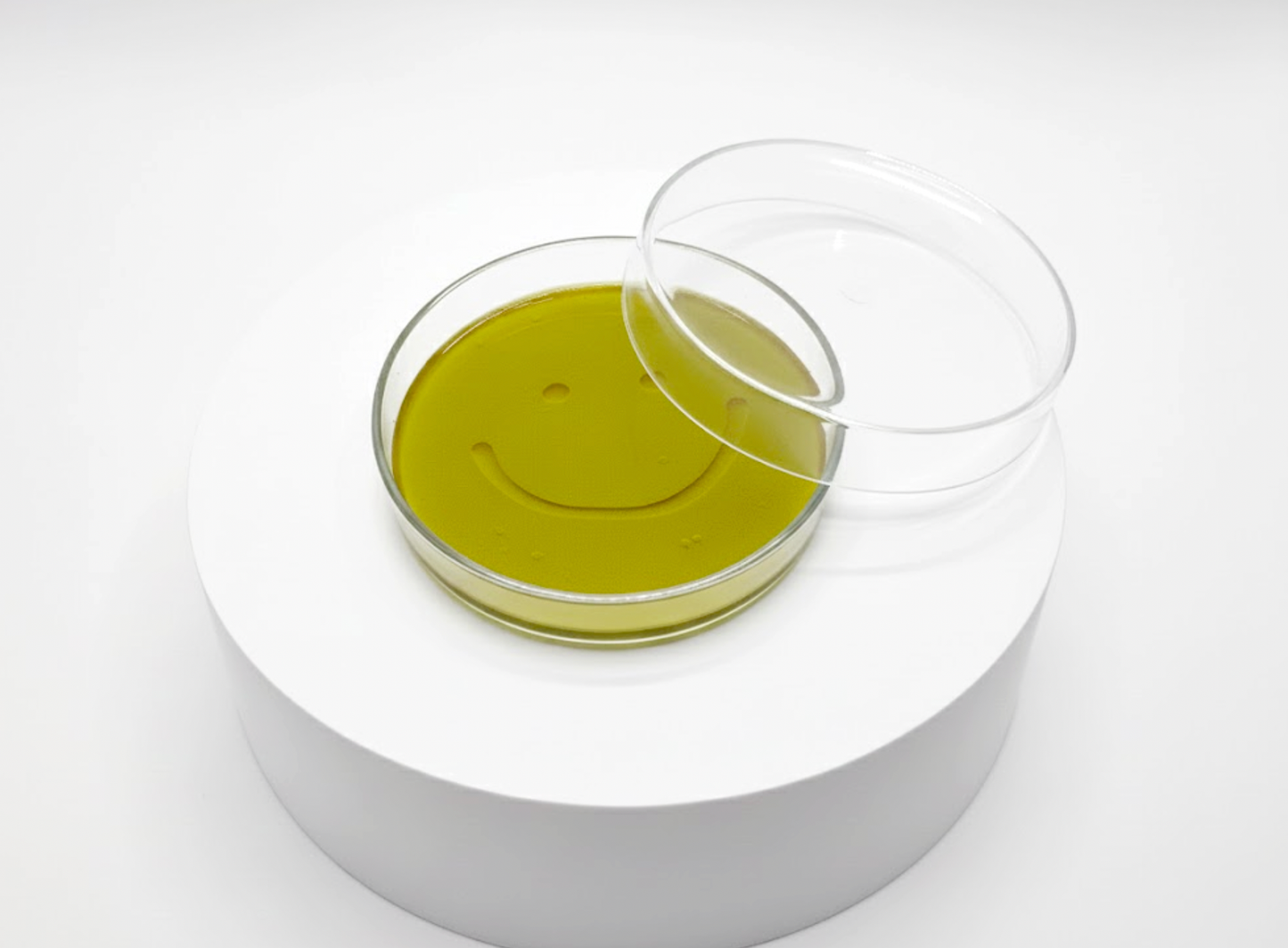 Pluribus Viral Sample Coaster Set in Petri Dish