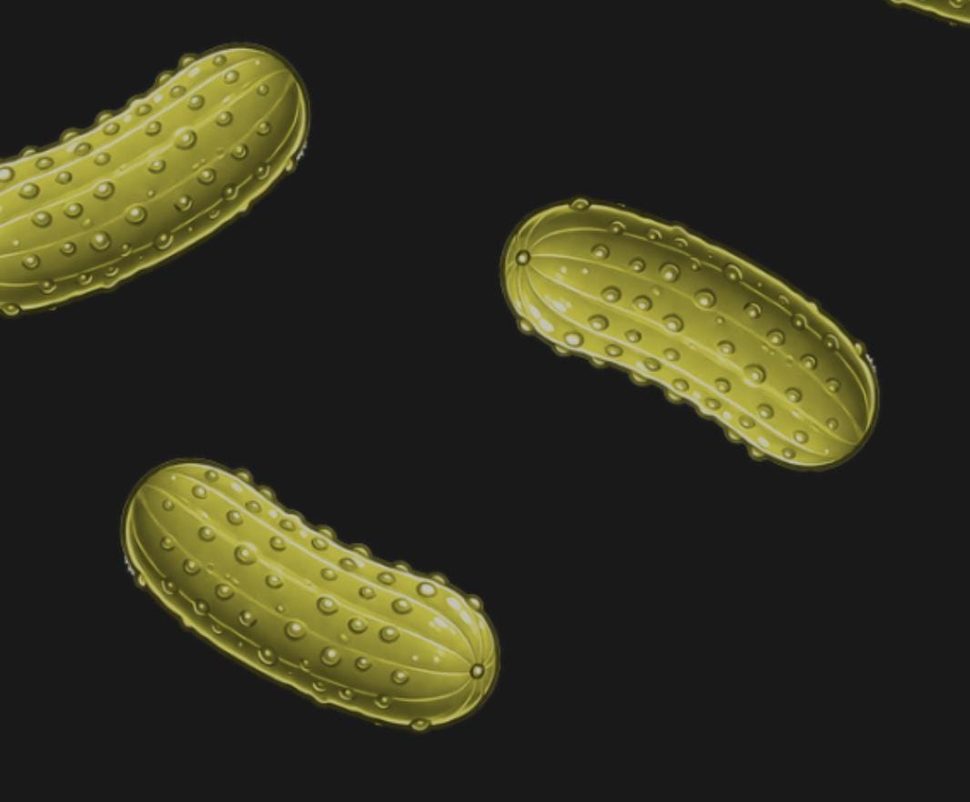 Misbehavin' 1989 Tour Pull Over Hoodie with Pickle Details Inspired by The Righteous Gemstones